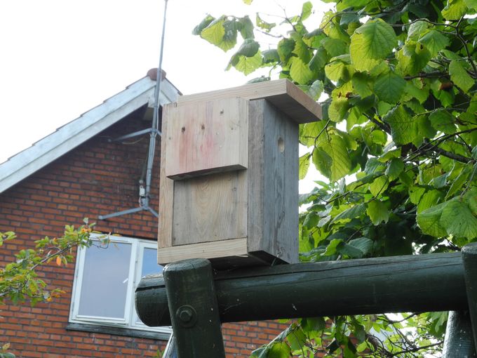 Min datter Frida´s første kasse. Hun er 5, så hun skal nok nå at lave mange. Ps jeg pacer ikke. Hun ville selv!